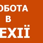 Вакансия на мясокомбинат в Чехии