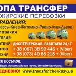 Пассажирские перевозки Трансфер Автобус