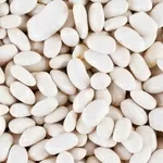 Продаж високоякісної квасолі відбірних сортів