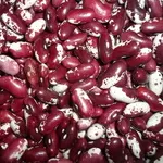  Квасоля оптом з доставкою по Україні від виробника