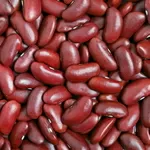 Продаж квасолі оптом від 5 тонн. Доставка по Україні