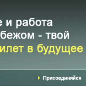 Работа в Европе для мужчин и женщин в Польше,  Чехии,  Германии