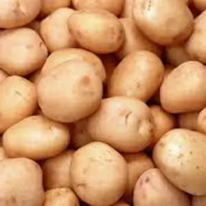 Купить картофель по оптовым ценам в Черкассах
