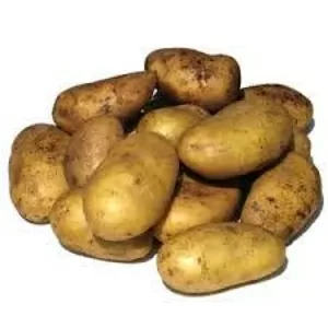 Срочно реализуем семенной картофель в Черкассах