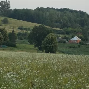 Продается дом в с. Железняк Сумской области.