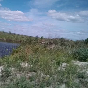 участок омываемый полуостров в селе Коробовке с каналом  прямой выход в днепр