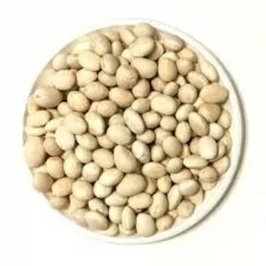 Приймаємо квасолю на консервування. Заберемо своїм транспортом