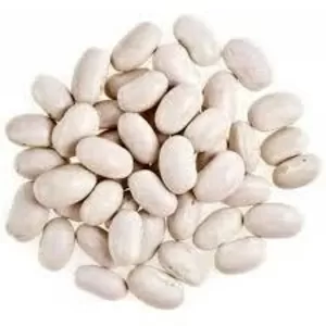 Закупка квасолі на переробку,  консервування