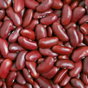 Продаж квасолі оптом від 5 тонн. Доставка по Україні