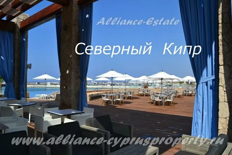 Alliance-Estate недвижимость на Северном Кипре