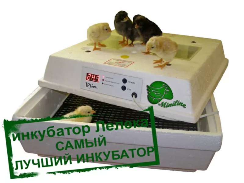 Инкубаторы Лелека для яиц