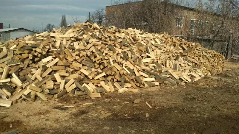 Продам дрова рубані акація,  дуб,  граб,  ясен 8