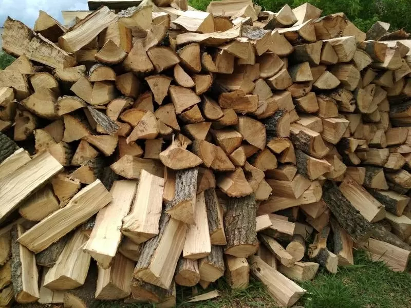 Продам дрова акація, дуб, граб, ясен