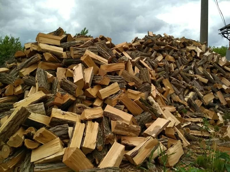 Продам дрова акація, дуб, граб, ясен 2