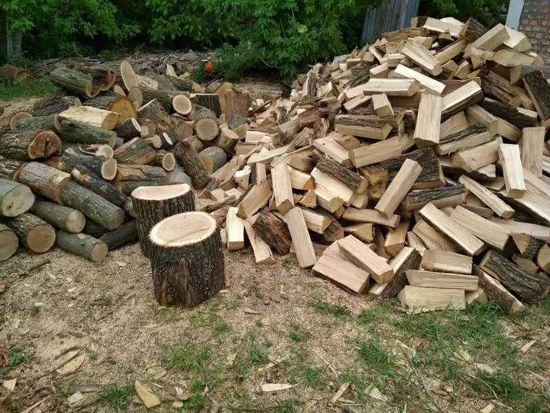 Продам дрова акація, дуб, граб, ясен 3
