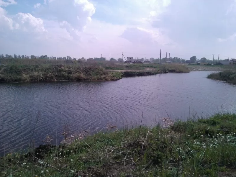 участок омываемый полуостров в селе Коробовке с каналом  прямой выход в днепр 7