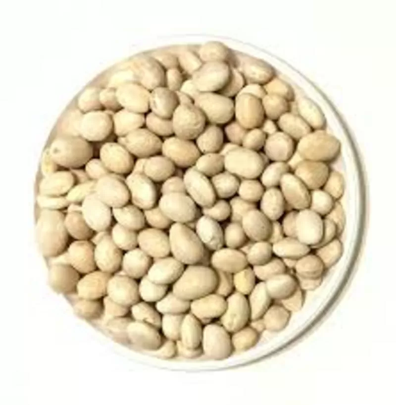 Приймаємо квасолю на консервування. Заберемо своїм транспортом