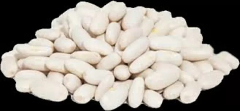 Купуємо квасолю у фермерів та с.г підприємств